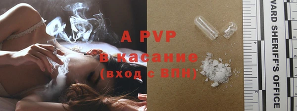 гашик Новодвинск