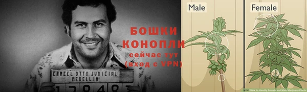 амф Нефтекумск