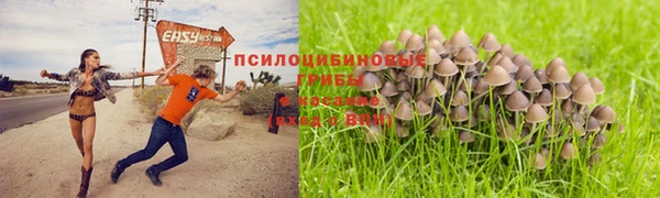 амф Нефтекумск