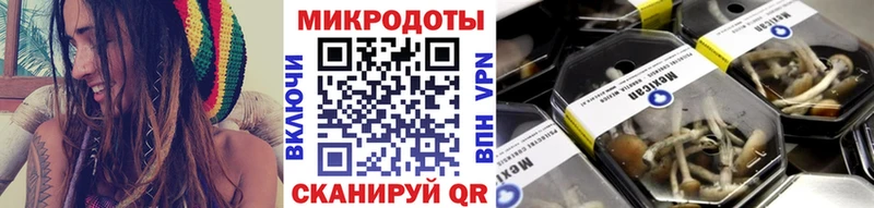 магазин Правдинск Псилоцибиновые грибы Psilocybine cubensis